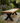 Rustic Iroko Outdoor Garden Bench