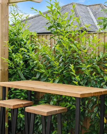 Rustic Outdoor High Bar Table