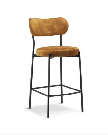 Luxe Velvet Barstools (Set of 2) - Ashford Blake